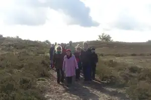 Op weg naar een scene.webp